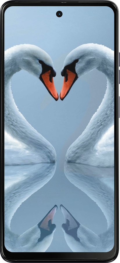 TPU чехол Лебеді для Motorola Moto E14 - 6007b-3848 изображение 