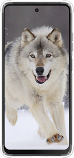 Силикон с усиленными углами чехол Бегущий волк для Motorola Moto G24 - 826sp-3659 изображение 