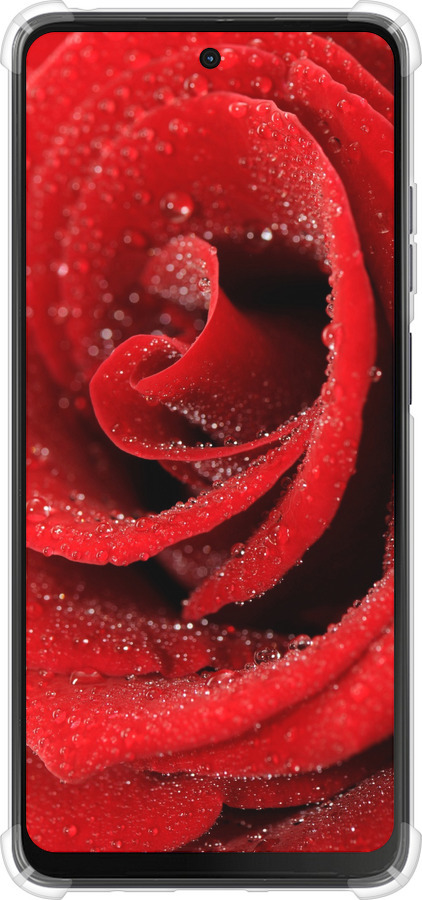 Силикон с усиленными углами чехол Красная роза для Motorola Moto G24 - 529sp-3659 изображение 