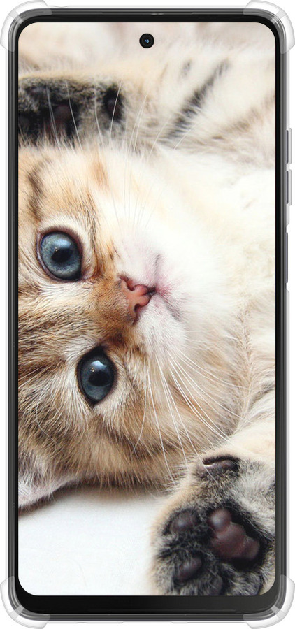 Силикон с усиленными углами чехол Котик для Motorola Moto G24 - 6024sp-3659 изображение 