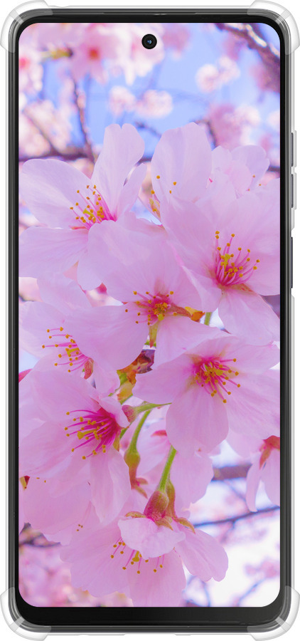 Силикон с усиленными углами чехол Сакура для Motorola Moto G24 - 6029sp-3659 изображение 