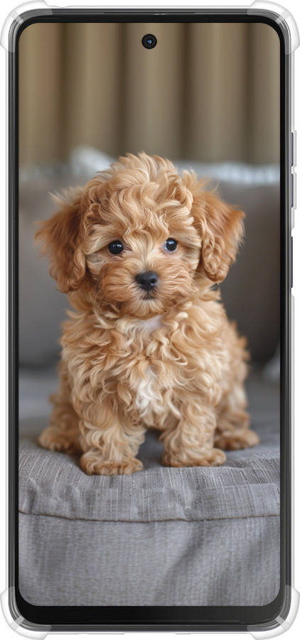 Силикон с усиленными углами чехол Mini-maltipoo для Motorola Moto G24 - 6158sp-3659 изображение 