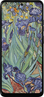 Силиконовый чехол Винсент Ван Гог. Ирисы для Motorola Moto G05 - 161u-3949 изображение 