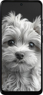 Силиконовый чехол Мальтипу на чорном фоне для Motorola Moto E15 - 6156u-4147 изображение 