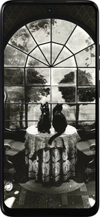 Силиконовый чехол Череп и коты для Motorola Moto E15 - 6432u-4147 изображение 