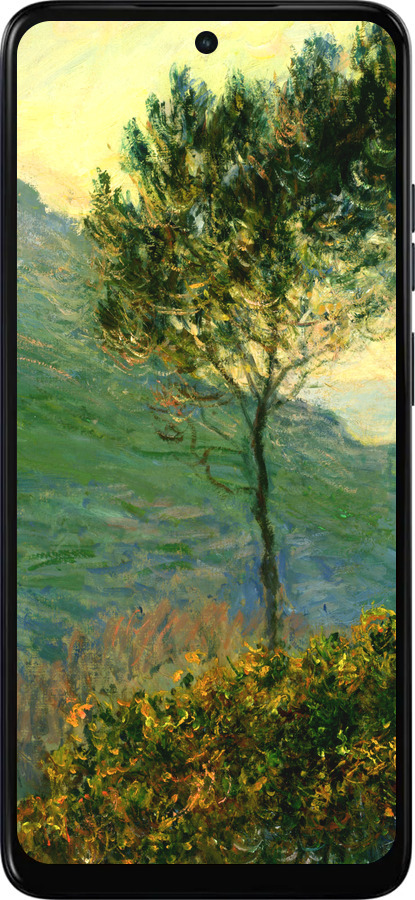 Силиконовый чехол Клод Моне для Motorola Moto E15 - 1193u-4147 изображение 