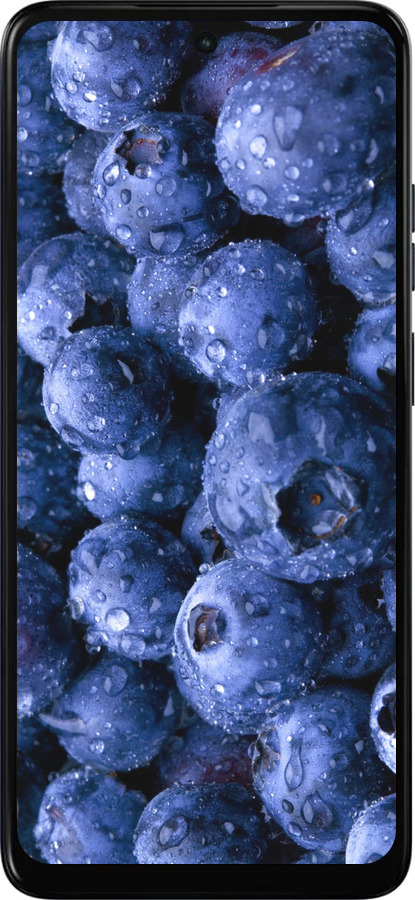 Силиконовый чехол Голубика для Motorola Moto E15 - 4459u-4147 изображение 