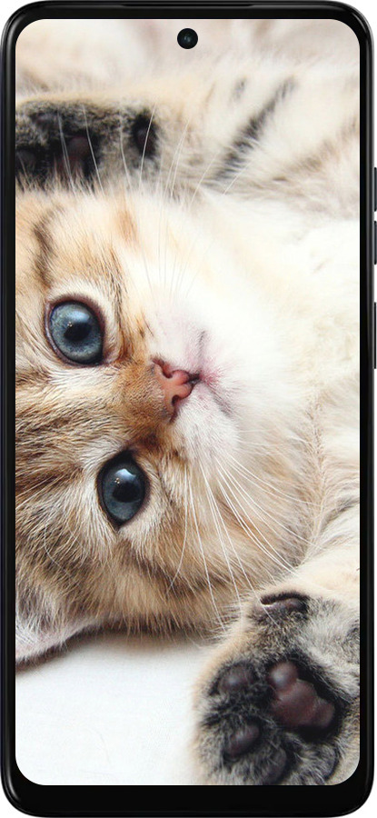 Силиконовый чехол Котик для Motorola Moto E15 - 6024u-4147 изображение 