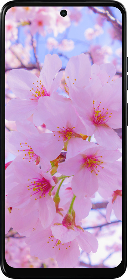 Силиконовый чехол Сакура для Motorola Moto E15 - 6029u-4147 изображение 