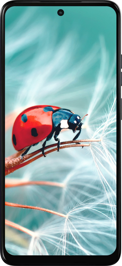 Силиконовый чехол Божья коровка для Motorola Moto E15 - 6049u-4147 изображение 