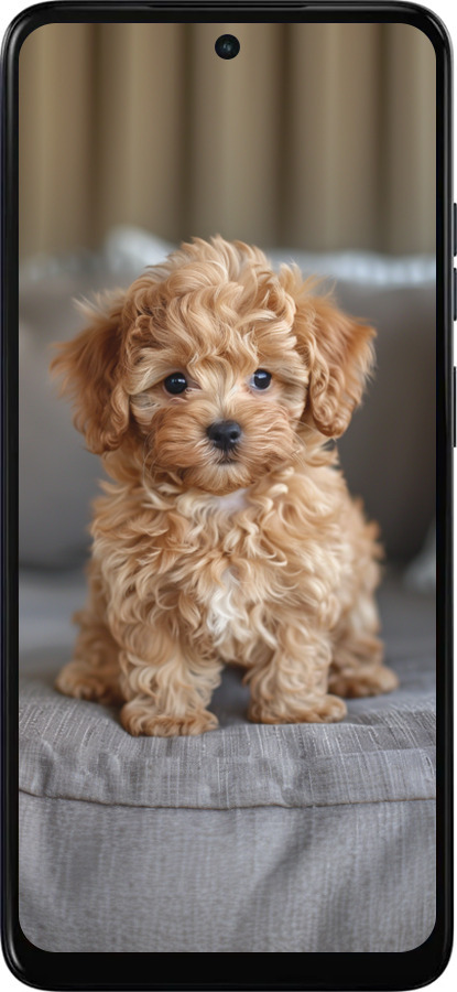 Силиконовый чехол Mini-maltipoo для Motorola Moto E15 - 6158u-4147 изображение 