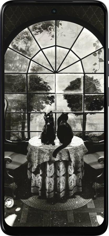 Силиконовый чехол Череп и коты для Motorola Moto E15 - 6432u-4147 изображение 