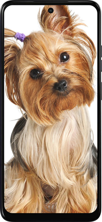Силиконовый чехол Йоркширский терьер с хвостиком для Motorola Moto E15 - 930u-4147 изображение 