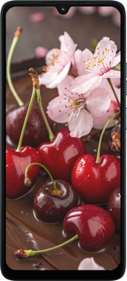 Силиконовый чехол Вишня в шоколаде для Motorola Moto G06 - 6698u-4187 изображение 