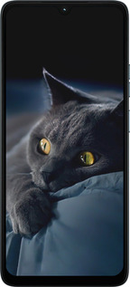 Силиконовый чехол Дымчатый кот для Motorola Moto G06 - 825u-4187 изображение 