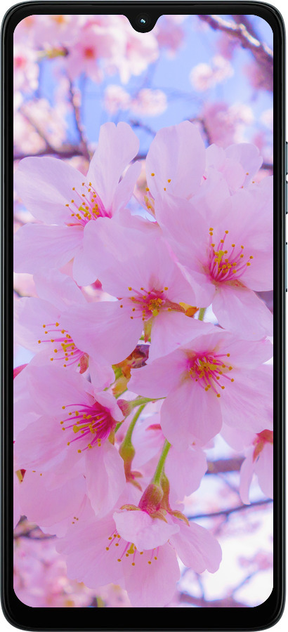 Силиконовый чехол Сакура для Motorola Moto G06 - 6029u-4187 изображение 