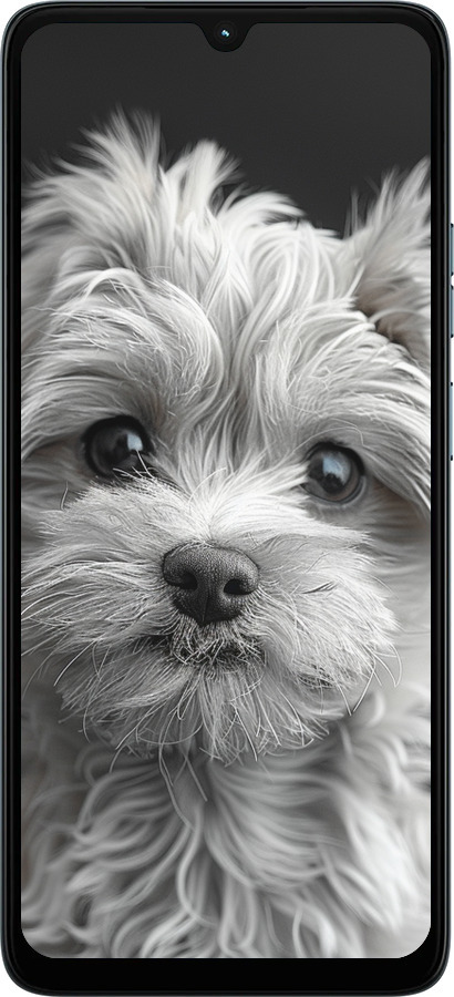 Силиконовый чехол Мальтипу на чорном фоне для Motorola Moto G06 - 6156u-4187 изображение 