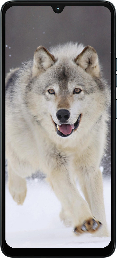 Силиконовый чехол Бегущий волк для Motorola Moto G06 - 826u-4187 изображение 