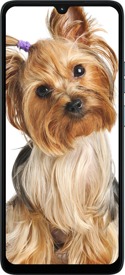 Силиконовый чехол Йоркширский терьер с хвостиком для Motorola Moto G06 - 930u-4187 изображение 