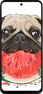 Силиконовый чехол Мопс и арбуз для Motorola Moto G15 Power - 4665u-4044 изображение 