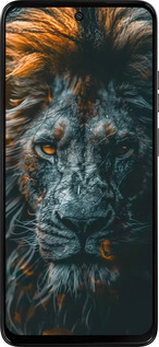 Силиконовый чехол Лев в сумерках для Motorola Moto G15 Power - 6154u-4044 изображение 