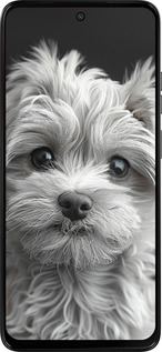 Силиконовый чехол Мальтипу на чорном фоне для Motorola Moto G15 Power - 6156u-4044 изображение 