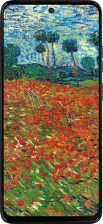 Силиконовый чехол Винсент Ван Гог-Маковое поле для Motorola Moto G15 Power - 6466u-4044 изображение 