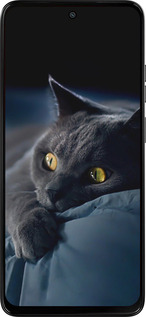 Силиконовый чехол Дымчатый кот для Motorola Moto G15 Power - 825u-4044 изображение 