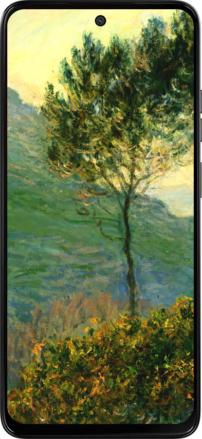 Силиконовый чехол Клод Моне для Motorola Moto G15 Power - 1193u-4044 изображение 