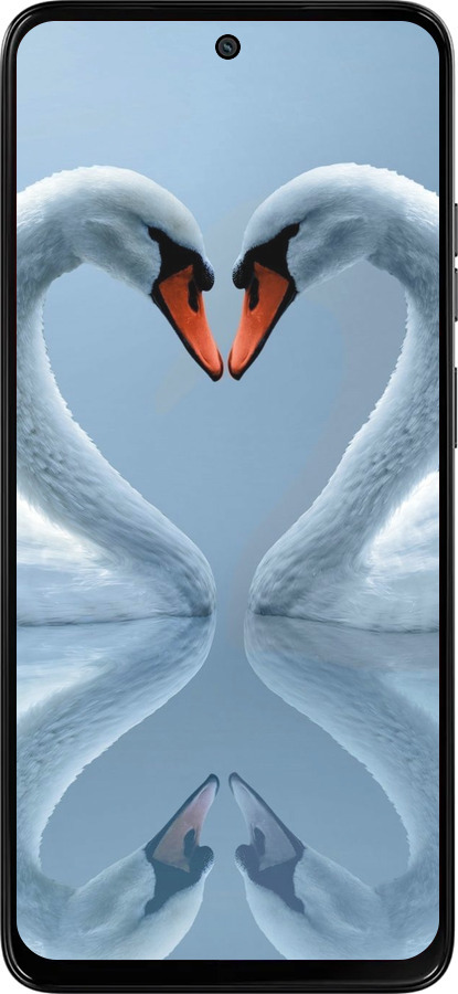 Силиконовый чехол Лебеди для Motorola Moto G15 Power - 6007u-4044 изображение 