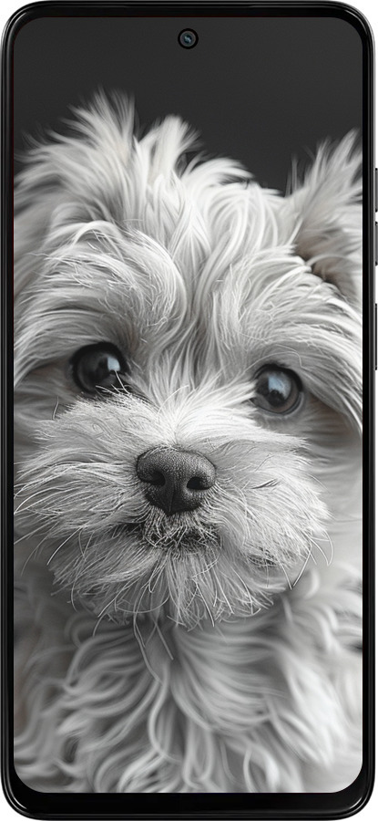 Силиконовый чехол Мальтипу на чорном фоне для Motorola Moto G15 Power - 6156u-4044 изображение 