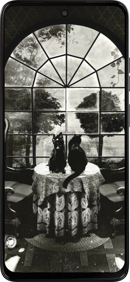 Силіконовий чехол Череп та коти для Motorola Moto G15 Power - 6432u-4044 изображение 