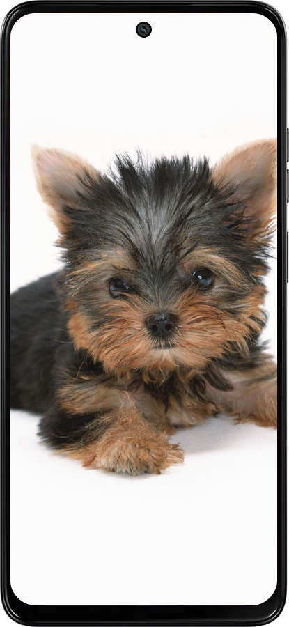 Силиконовый чехол Щенок йоркширского терьера для Motorola Moto G15 Power - 931u-4044 изображение 