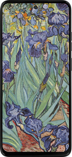 Силиконовый чехол Винсент Ван Гог. Ирисы для Motorola Moto G15 - 161u-3948 изображение 