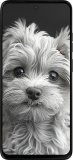 Силиконовый чехол Мальтипу на чорном фоне для Motorola Moto G15 - 6156u-3948 изображение 