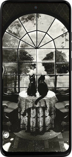 Силиконовый чехол Череп и коты для Motorola Moto G15 - 6432u-3948 изображение 