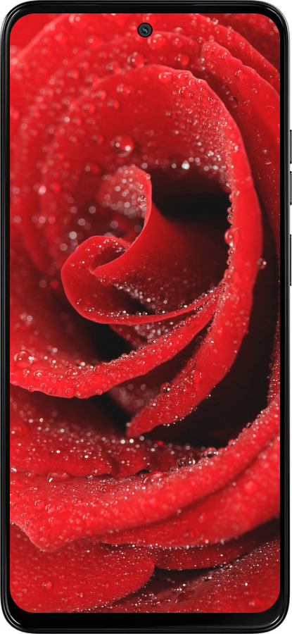 Силиконовый чехол Красная роза для Motorola Moto G15 - 529u-3948 изображение 