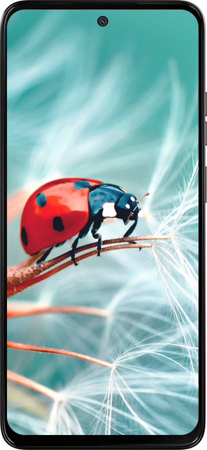 Силиконовый чехол Божья коровка для Motorola Moto G15 - 6049u-3948 изображение 