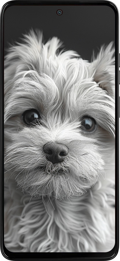 Силиконовый чехол Мальтипу на чорном фоне для Motorola Moto G15 - 6156u-3948 изображение 