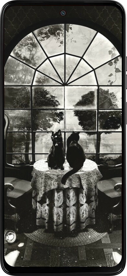 Силиконовый чехол Череп и коты для Motorola Moto G15 - 6432u-3948 изображение 