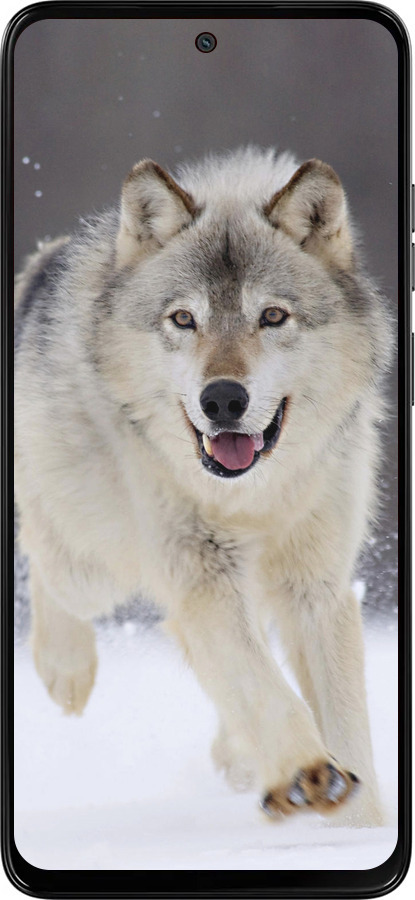 Силиконовый чехол Бегущий волк для Motorola Moto G15 - 826u-3948 изображение 