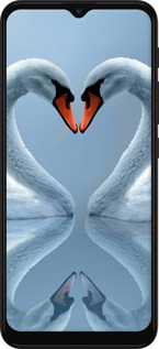 TPU чехол Лебеди для Motorola Moto G30 - 6007b-2320 изображение 