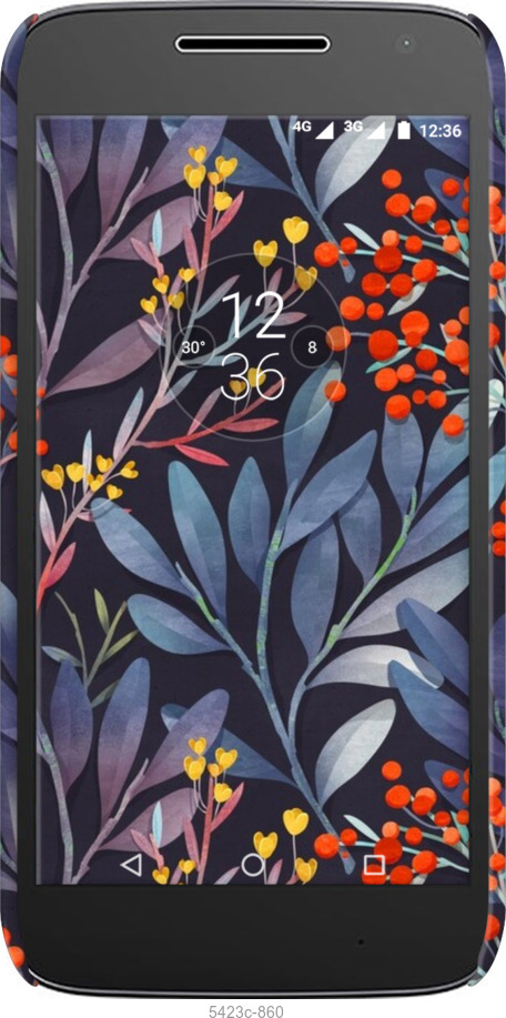 3D пластиковий матовий чехол № 5423 для Motorola Moto G4 Play - 5423m-860 изображение 