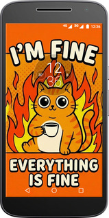 2D пластиковий чехол Funny Cat для Motorola MOTO G4 - 6786t-511 изображение 