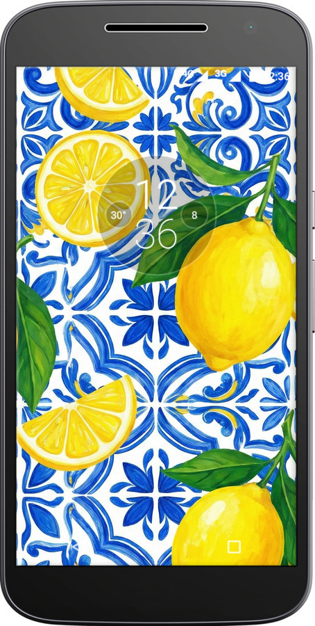 Силіконовий чехол Grocery Girl Italian Summer для Motorola MOTO G4 PLUS - 6766u-953 изображение 