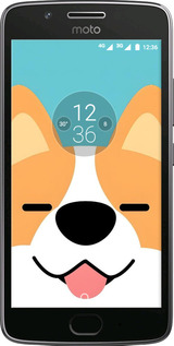 Силіконовий чехол Корги для Motorola Moto G5 - 6280u-832 изображение 