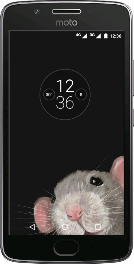 Силіконовий чехол The Peeking Rat для Motorola Moto G5 - 6442u-832 изображение 