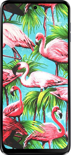 Силіконовий чехол Tropical background для Motorola Moto G54 Power - 4016u-3897 изображение 