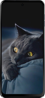 Силиконовый чехол Дымчатый кот для Motorola Moto G64 - 825u-4014 изображение 