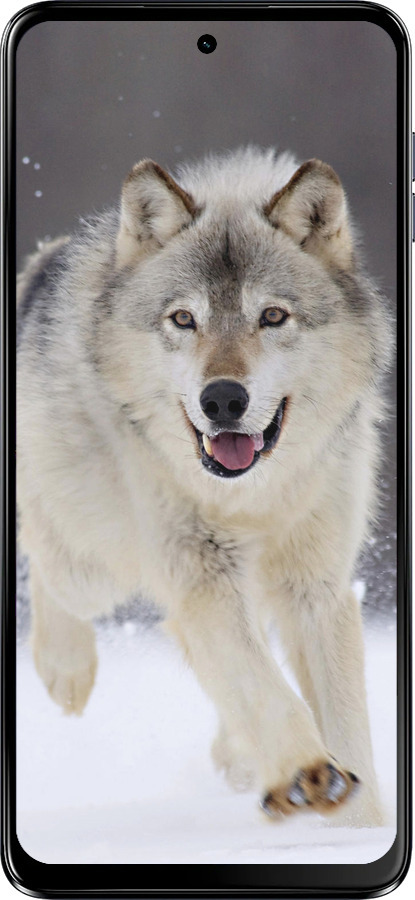 Силіконовий чехол Вовк, що біжить для Motorola Moto G64 - 826u-4014 изображение 